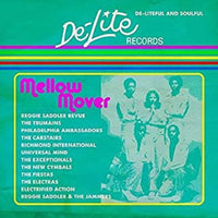 DE-LITEFUL AND SOULFUL - MELLOW MOVER