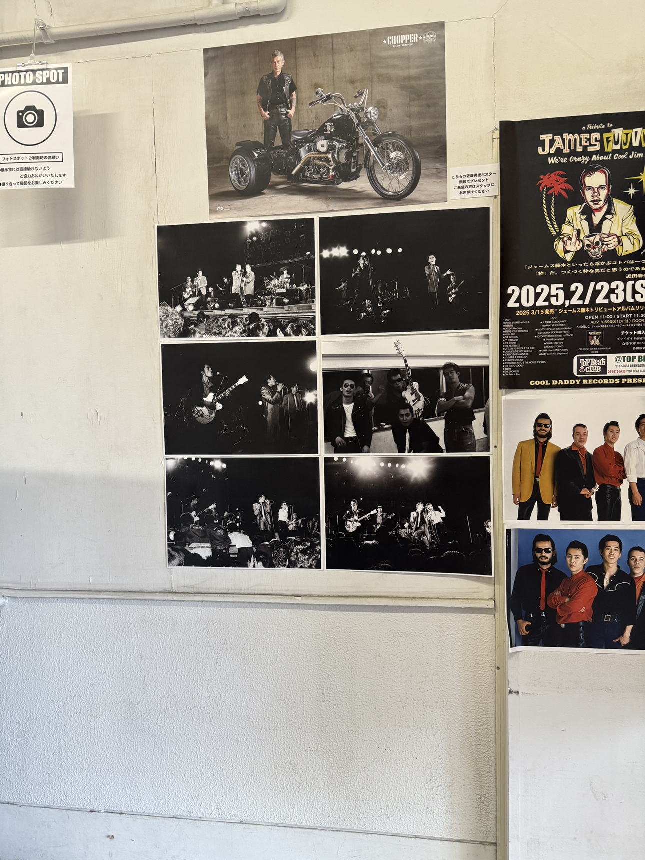 クールス50周年記念！限定スペシャルショップを4/3より開催！