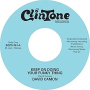 KEEP ON DOING YOUR FUNKY THING /AIN'T IT FUNKY (DOING YOUR OWN THING)
