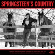 Springsteen's Country