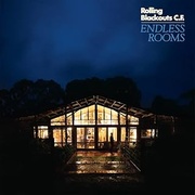 ENDLESS ROOMS (LP COLOR)