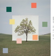 NOTES FROM A QUIET LIFE (LP COLOR/HONEYDEW MELON VINYL)