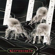 MICROSCOPIC