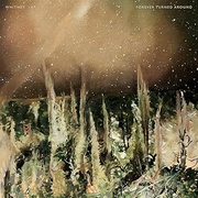 FOREVER TURNED AROUND (LIMITED COLOR LP)（RECORD (LP)）