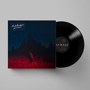 PUNISHER（RECORD (LP)）