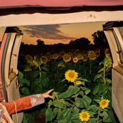 Little Wide Open (IMPORT CD)