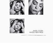 WHOLE NEW MESS (CASSETTE)