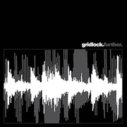 FURTHER (IMPORT 2LP)