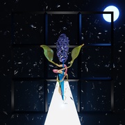 A ROOM WITH MANY DOORS : NIGHT LP