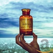 BLACKFIELD V