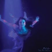 INTO THE WAVES (IMPORT 2LP)