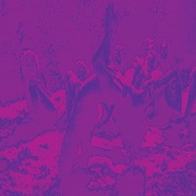ACID GURU POND (IMPORT 2LP)