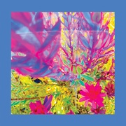 THE PAST IS A GARDEN I NEVER FED (IMPORT CD)