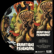 Psychonaut (Limited Edition Picture Disc Vinyl)
