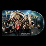 Temple Of Blues - Influences And Friends