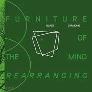 FURNITURE OF THE MIND REARRANGING　(2LP)