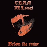 BELOW THE RADAR