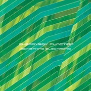 SOMETHING ELECTRONIC