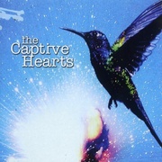 HUMMINGBIRD