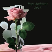 POP AMBIENT 2011