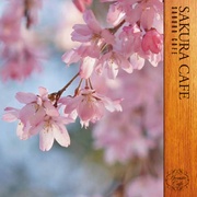 桜カフェ　～SAKURA CAFE～