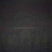 WITHOUT YOUR LOVE