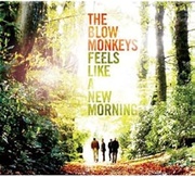 FEELS LIKE A NEW MORNING