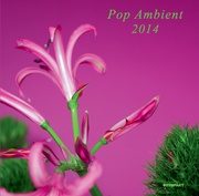 POP AMBIENT 2014