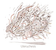 UTERUCHESIS