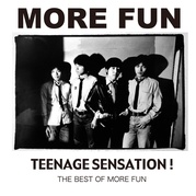 TEENAGE SENSATION - THE BEST OF MORE FUN