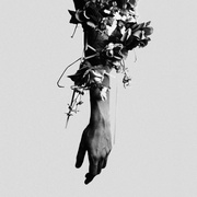 THE FLOWERS OF ROMANCE