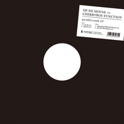 PARALLEL YOUTH 12inch