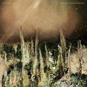 FOREVER TURNED AROUND（CD）