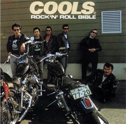 ROCK'N' ROLL BIBLE