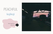 PEACHFUL [:CASSETE TAPE]