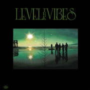 LEVEL THE VIBES feat. TETRAD THE GANG OF FOUR（アナログ）