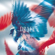 DRAFT