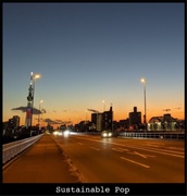 SUSTAINABLE POP