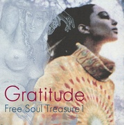 GRATITUDE ～ SUBURBIA MEETS ULTRA-VYBE “FREE SOUL TREASURE 1”［LP］