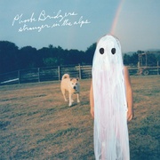 STRANGER IN THE ALPS（RECORD (LP)）