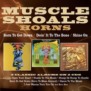 BORN TO GET DOWN/DOIN' IT TO THE BONE/SHINE ON THREE ALBUMS ON 2CDS