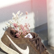 LIVING SHOES WINDOW