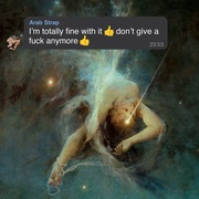 I’M TOTALLY FINE WITH IT DON’T GIVE A FUCK ANYMORE