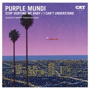 STOP HURTING ME BABY / I CAN'T UNDERSTAND (SELECTED BY HIROSHI 'PENGUIN JOE' NAGAI)