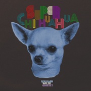 SUPER CHIHUAHUA / CONUNDRUM