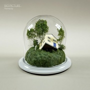 BIG PICTURE(LP COLOR)