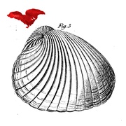 コマ・ウエスト