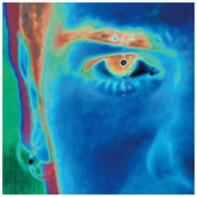 ストーンド・パートII