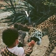 V[SC キャンペーン 2026対象商品]