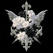 Pale Black/